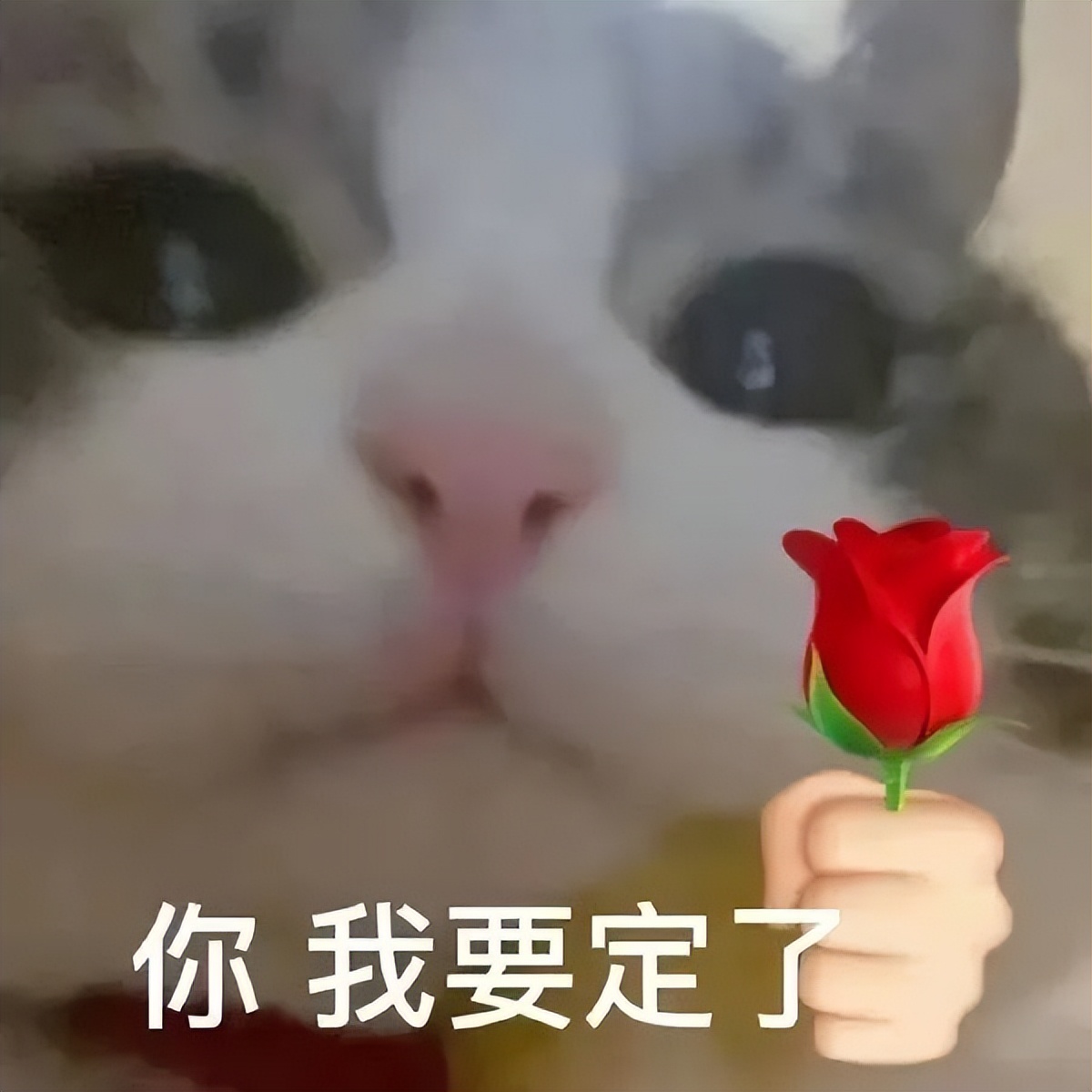 贩剑表情包评论区,贩剑表情包不回消息