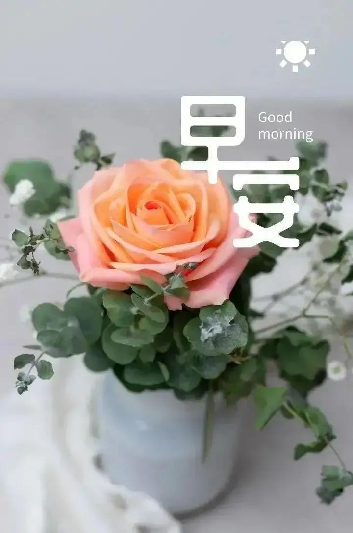 2023年02月27日星期一农历:癸卯年【兔年】二月初八八九第5天