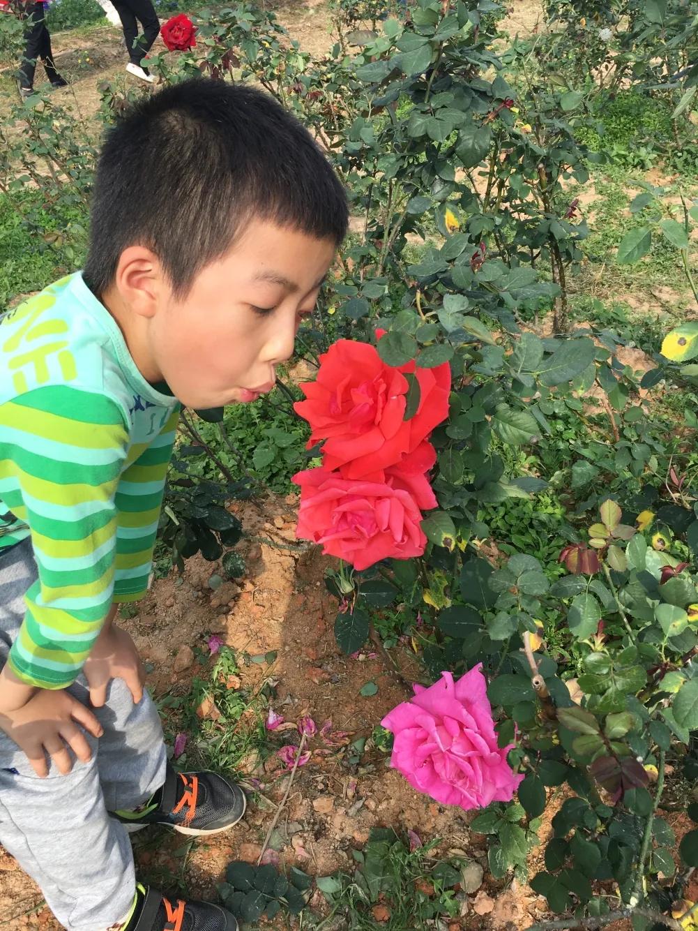 全国青少年阅读风采展示活动参赛,青少年阅读风采大赛全国