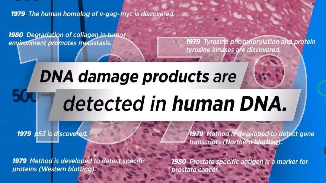 2024年全球癌症研究报告,未来10年癌症研究