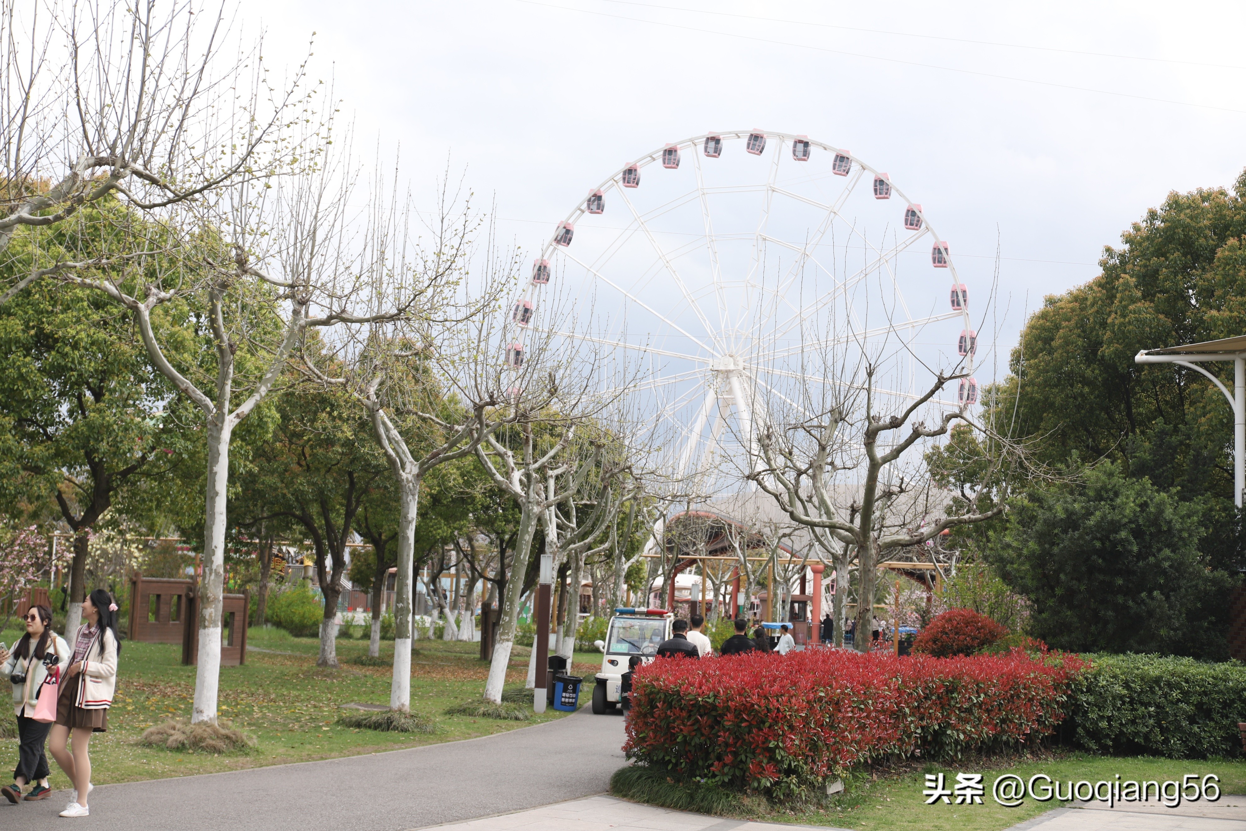上海动物园门票老年人免费,上海双休日老年人最多的公园在哪