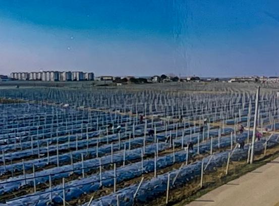 马鞍山项目开工,安徽马鞍山一批重大项目集中开工