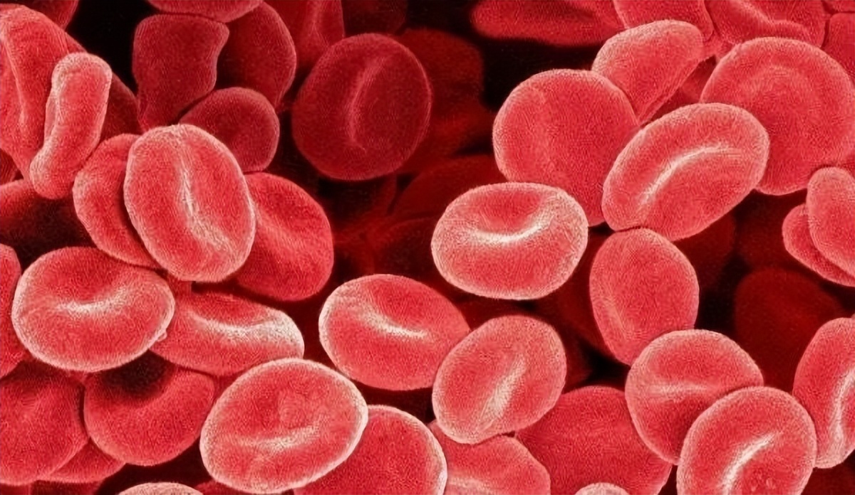 血红素蛋白结构与功能,血红素蛋白的作用效果