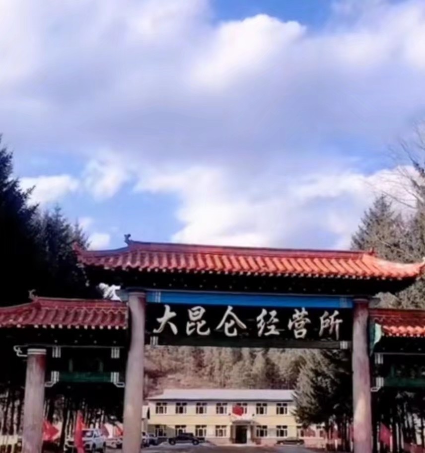 林区往事最新视频,2012年伊春林区往事图片