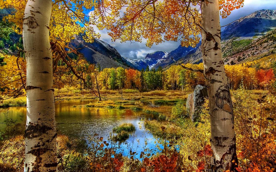 天生硬骨头不轻易低头的4大星座,这三个星座虽脾气暴躁人品却最好