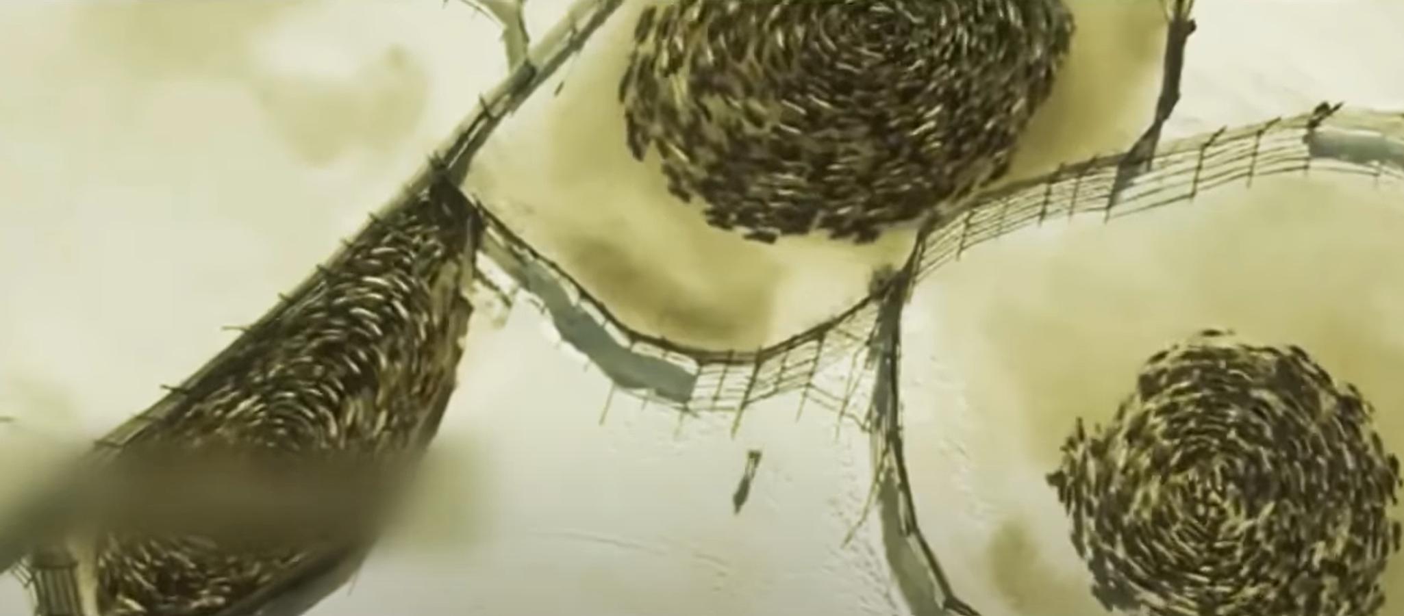 美国黄石公园超级火山,美国黄石公园超级火山2016