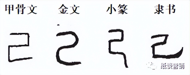 十天干象意详解,十天干冲合口诀