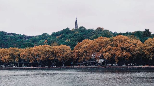 杭州周边赏秋好去处,杭州赏秋最佳攻略