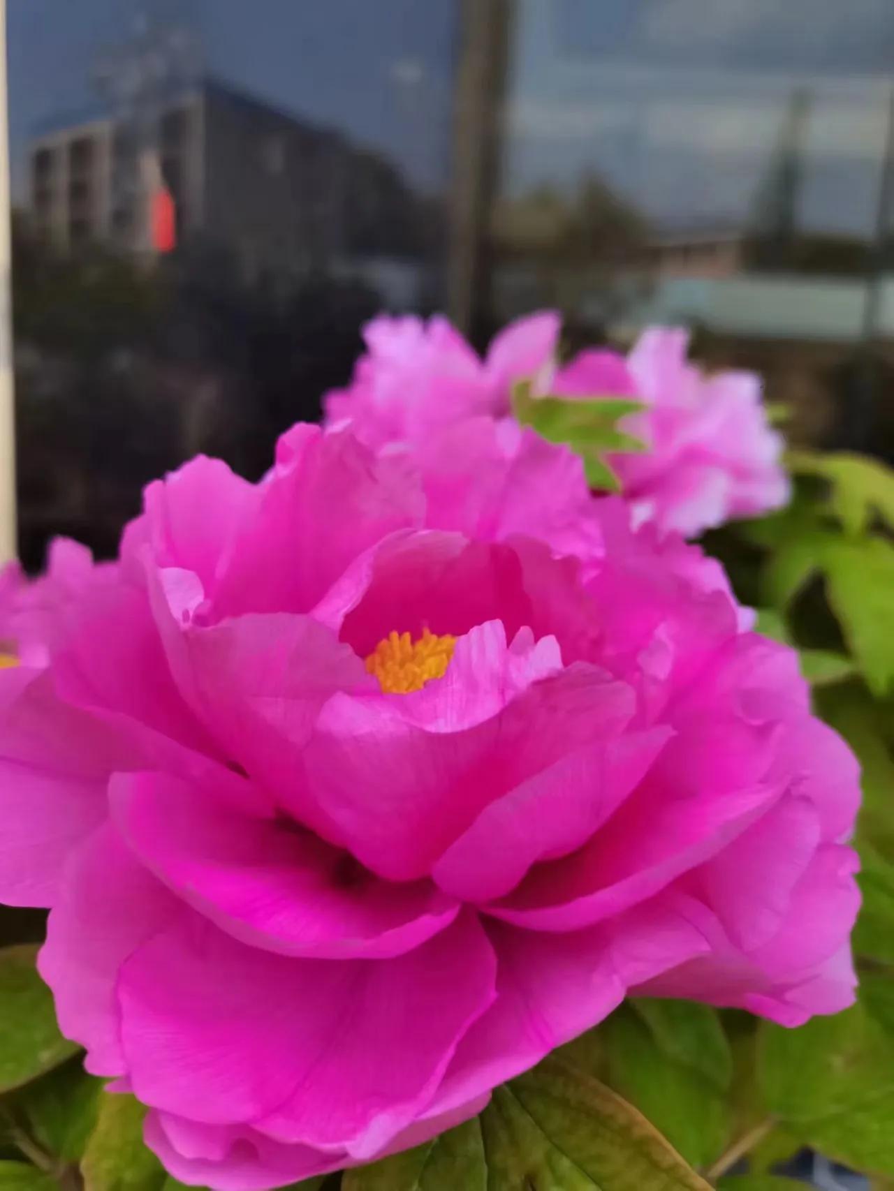 如果你没有活下去的理由,你会做什么呢?