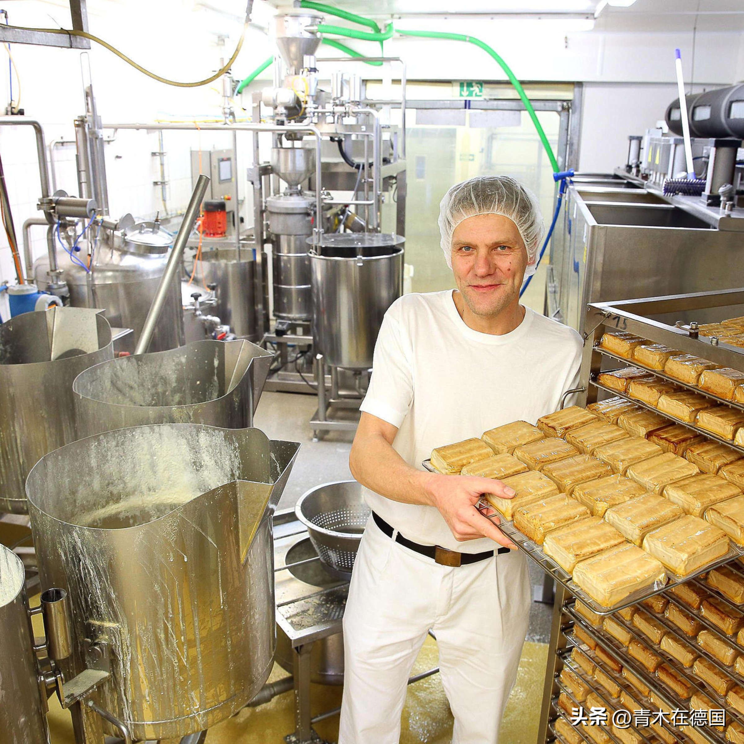 豆腐远销海外,德国制造豆腐