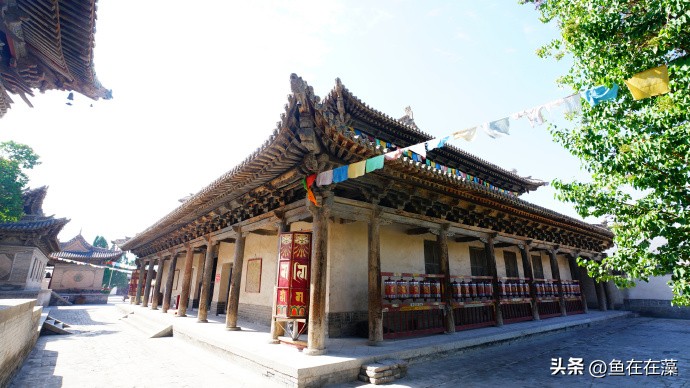 82战疫·甘：妙因寺、雷坛——永登连城镇