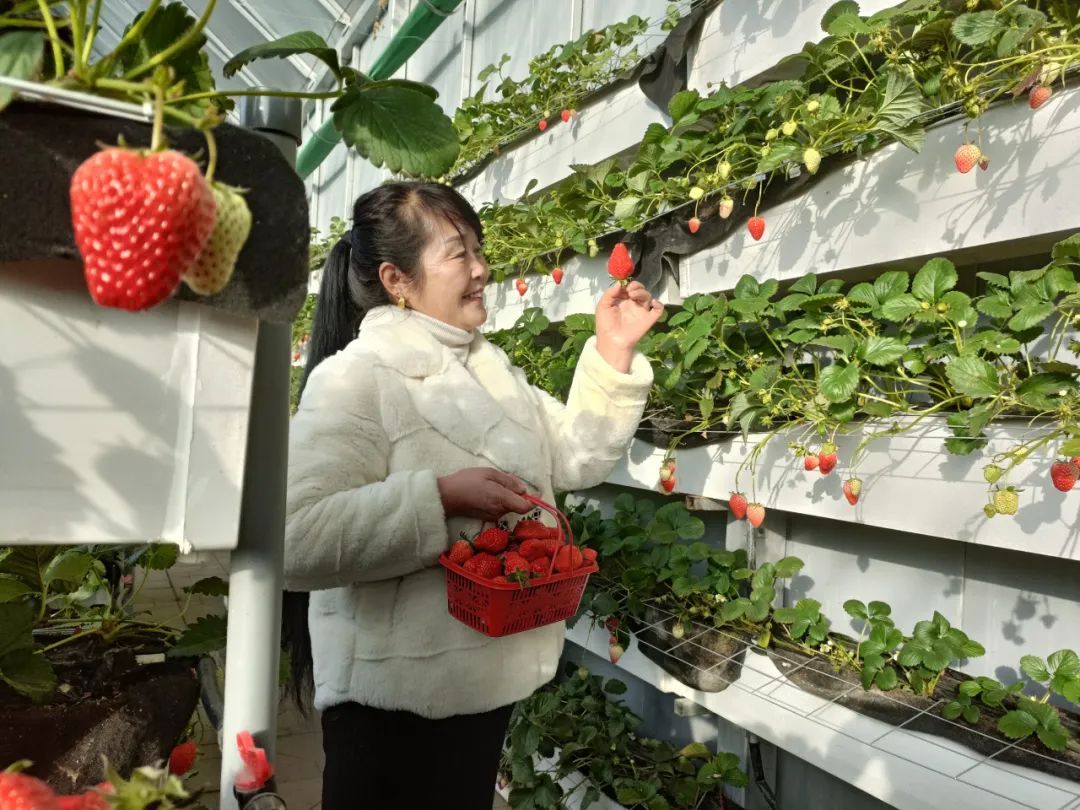 邀您来看，冬日里的“致富经”~