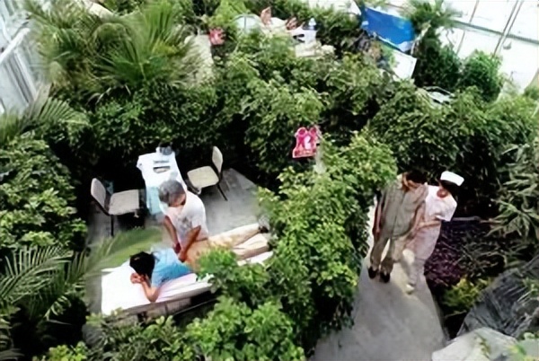 “绿*医色**院”是现代医院发展的必然趋势