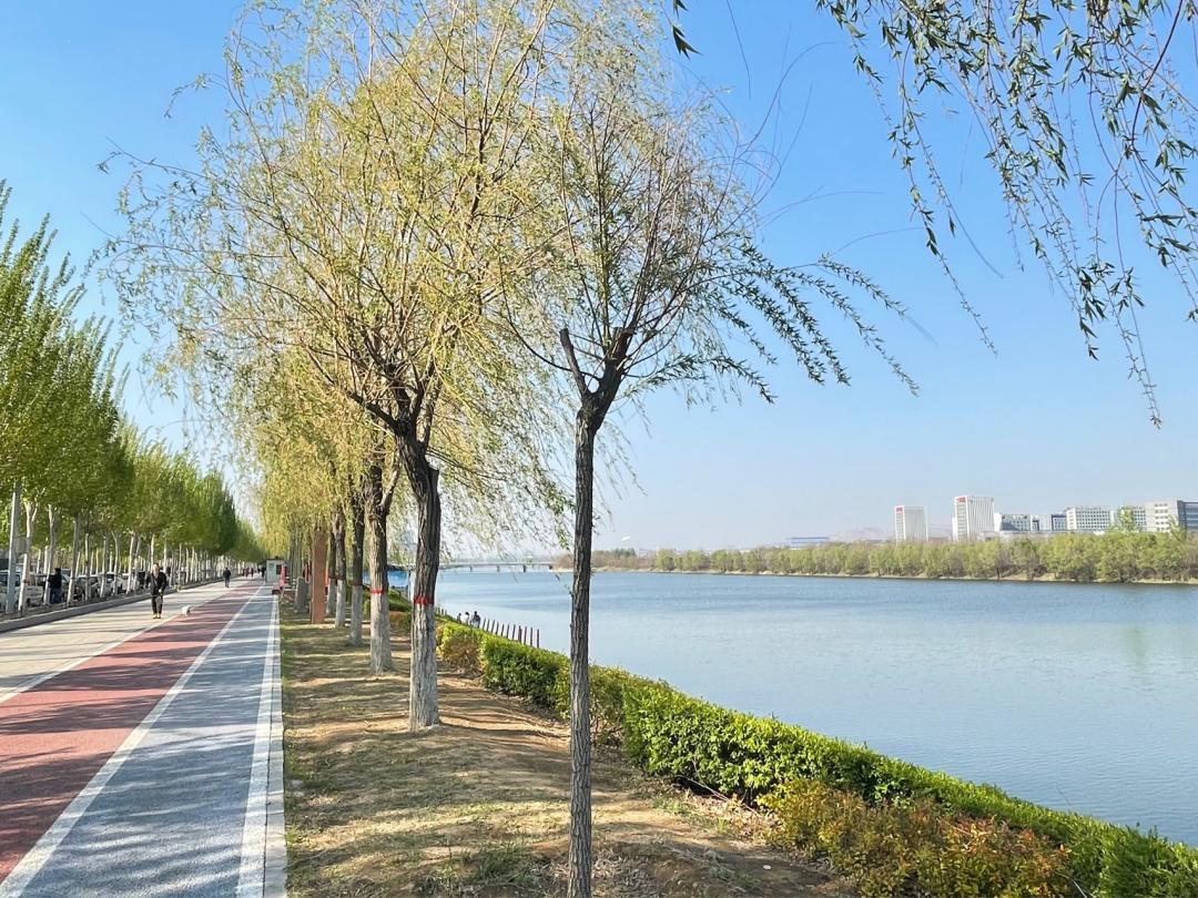 漫步南沙河，又是被“圈粉”的一天