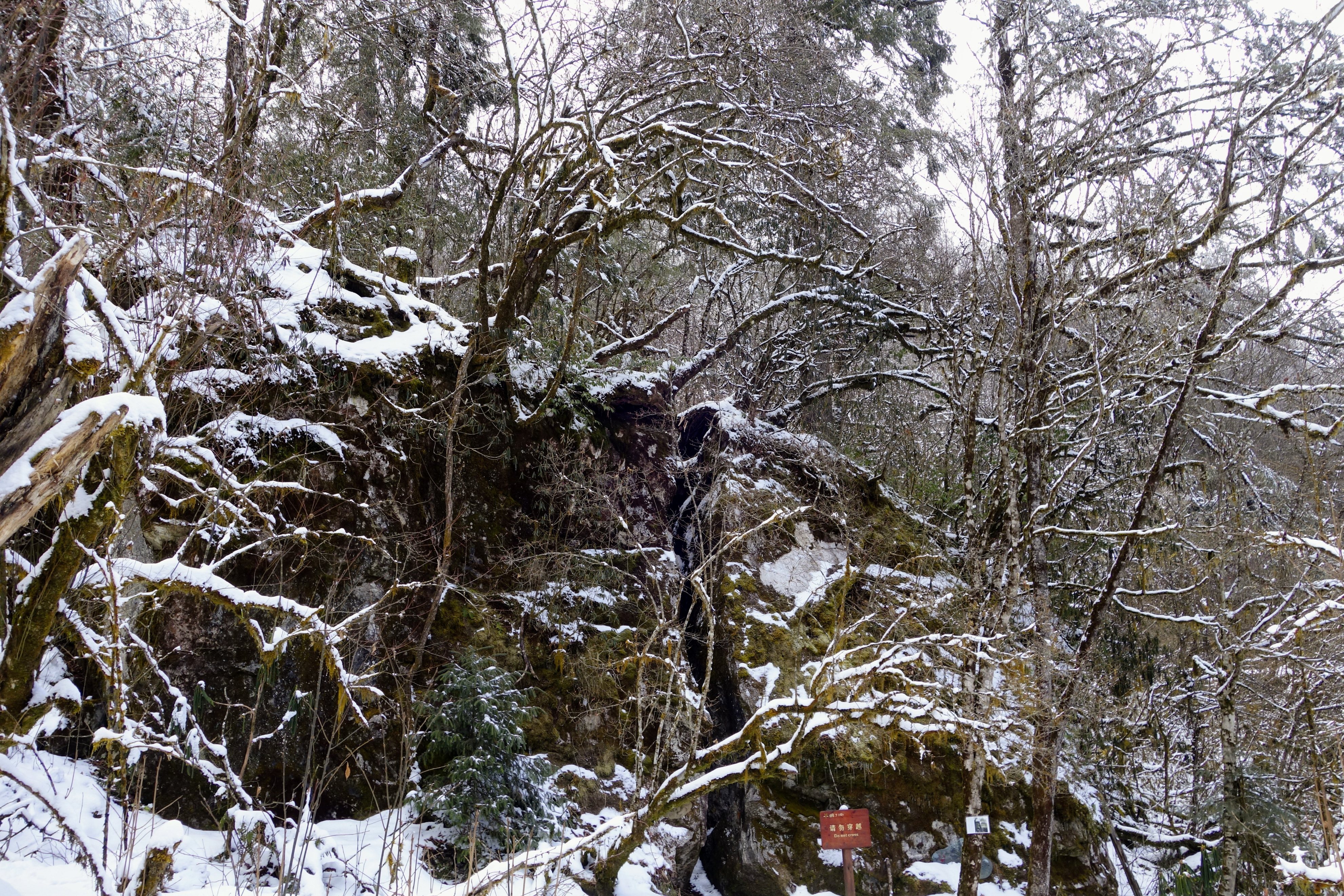 川西圣境游玩攻略,甘孜燕子沟攻略