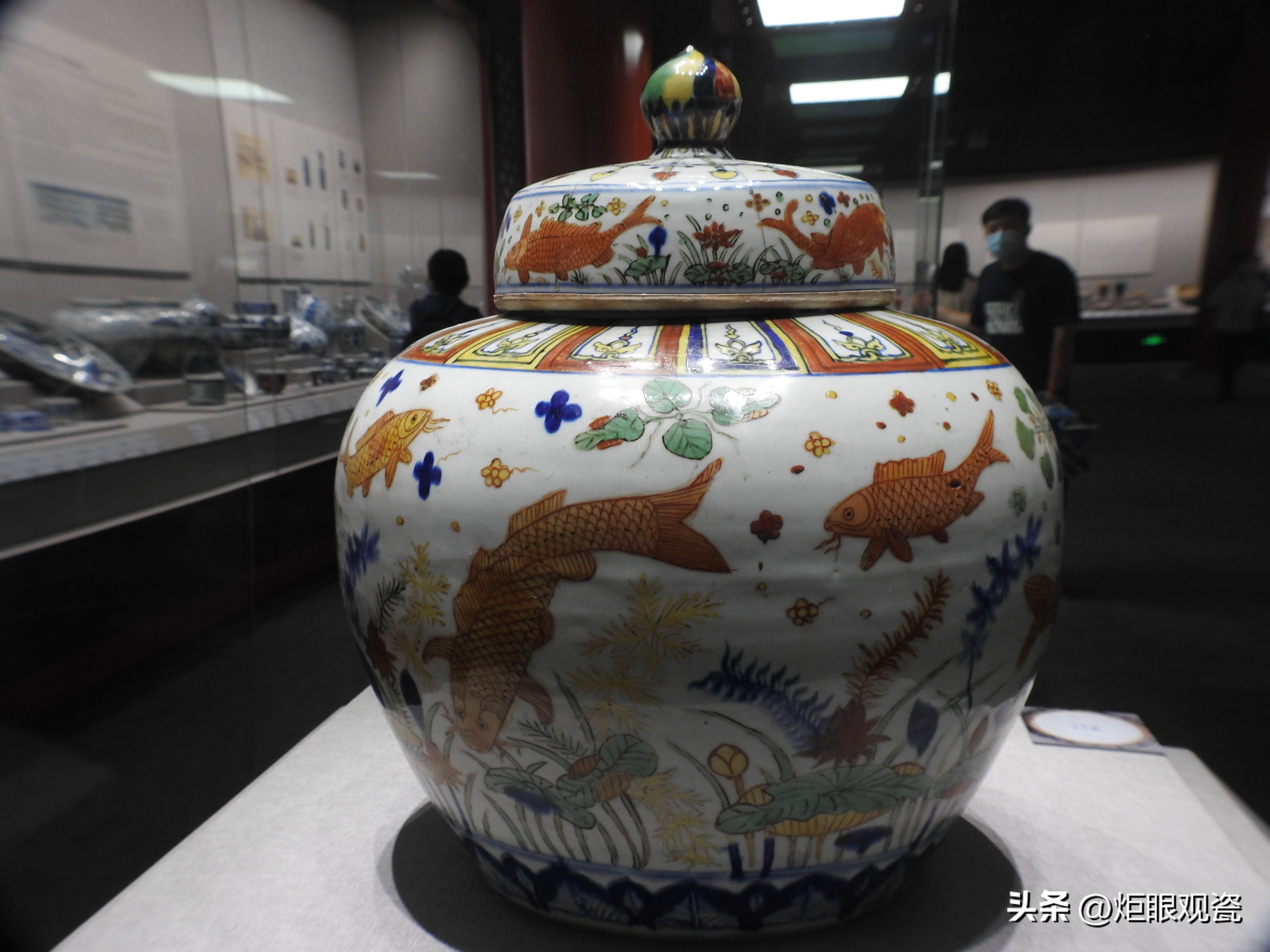 鱼乐其中——细观嘉靖五彩鱼藻纹罐的黄上红、翡翠绿、回石青