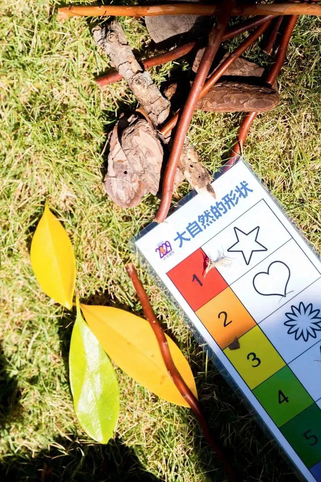 深圳南山国际幼儿园哪家好,南山区国际幼儿园哪家好