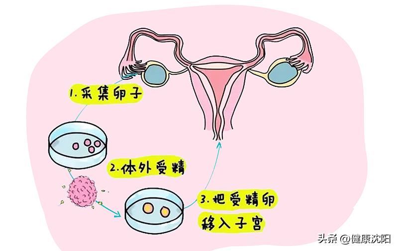 妇幼保健知识宣教活动方案,健康知识普及行动系列科普知识