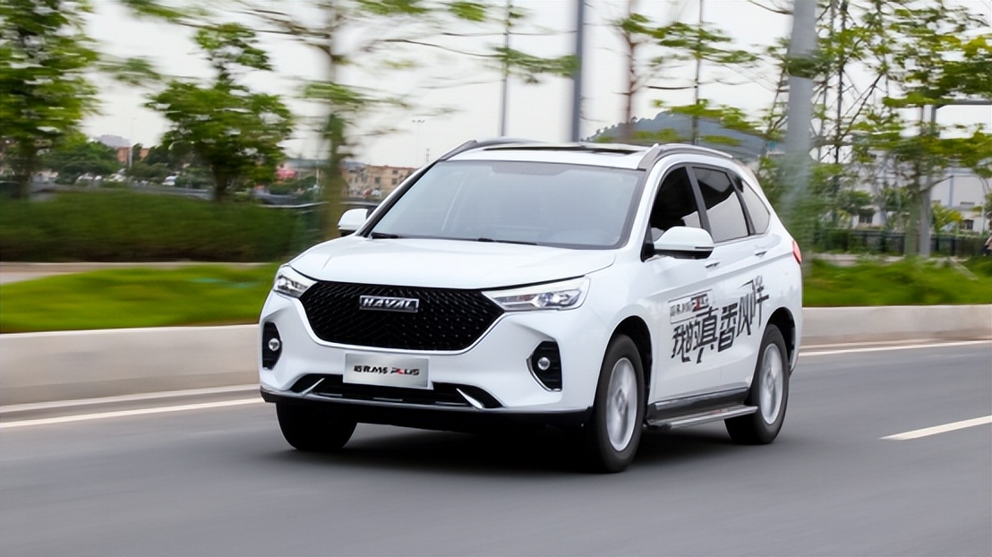 哈弗m6plus买车,从摆摊到发家致富全文免费阅读