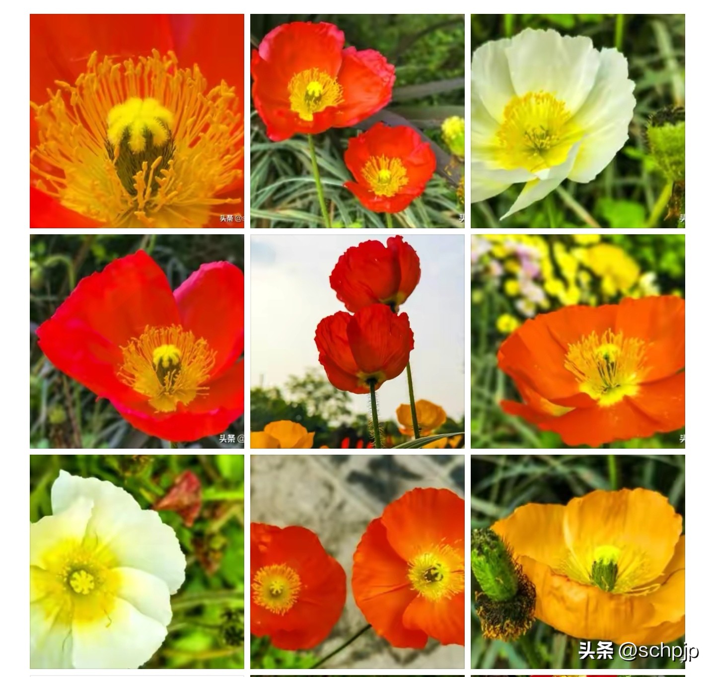 头条审核未通过原因怎么查,头条审核未通过有必要去申诉吗