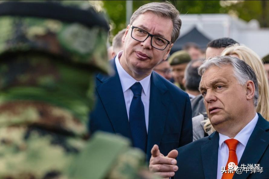 真没想到，武契奇成了中国*器武**的最好海外推销员