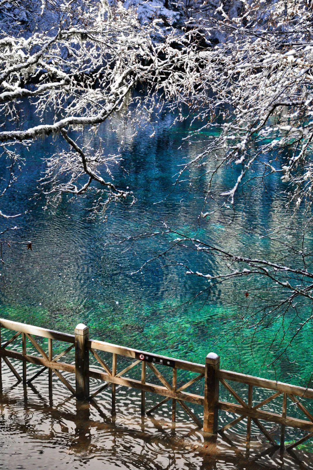 不到3000玩7天！“全网呼声最高”的冬日游天花板，非它莫属！