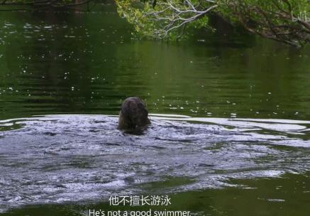 虫子拌百香果？《决胜荒野3》里，德爷又吃起雨林黑暗料理了