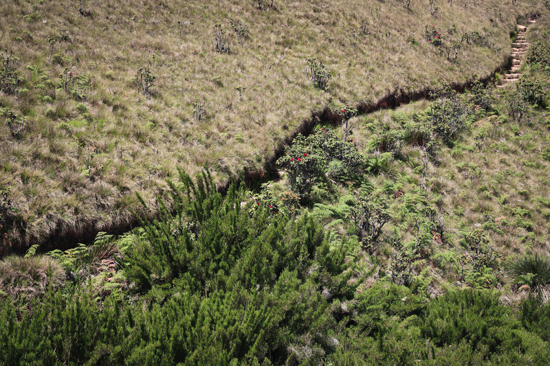 斯里兰卡旅游攻略必去景点,斯里兰卡旅游攻略最佳时间