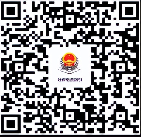 龙口居民基础养老保险,龙口市农村养老保险哪年开始办理