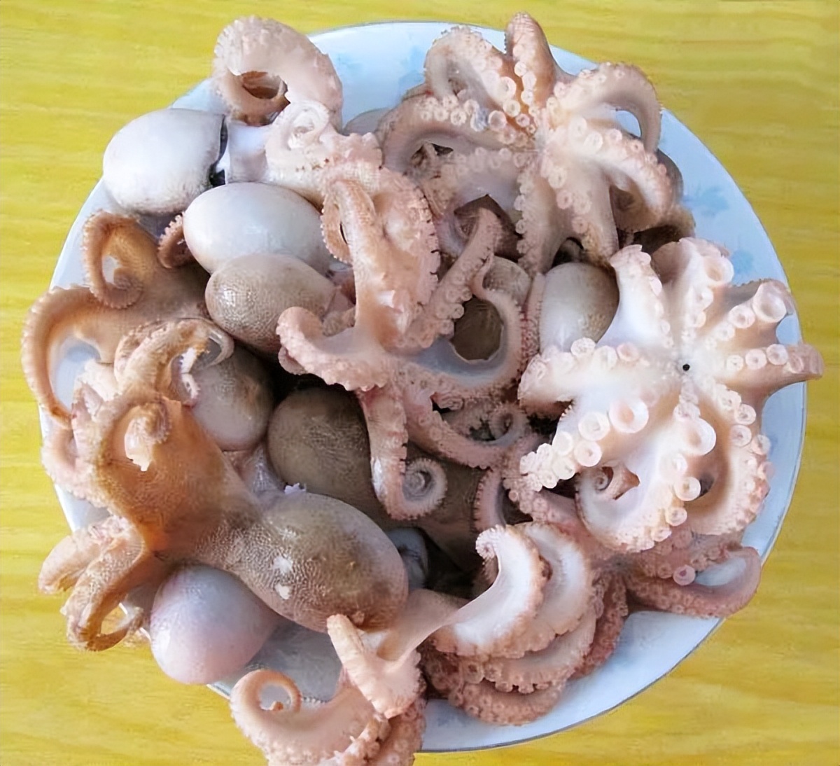 一日三餐都是海鲜,一日三餐全是海鲜