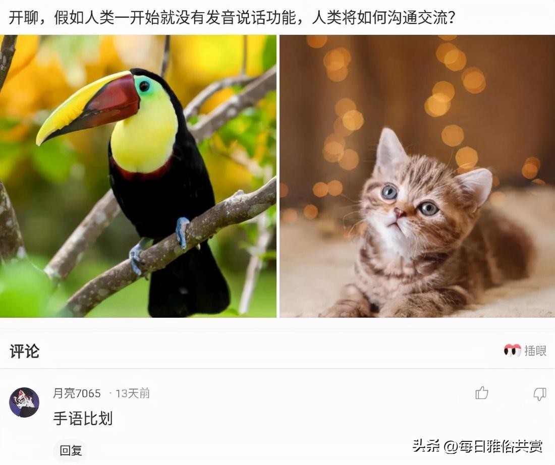 【盐选神回复】那么问题来了，一共有多少条腿呢？