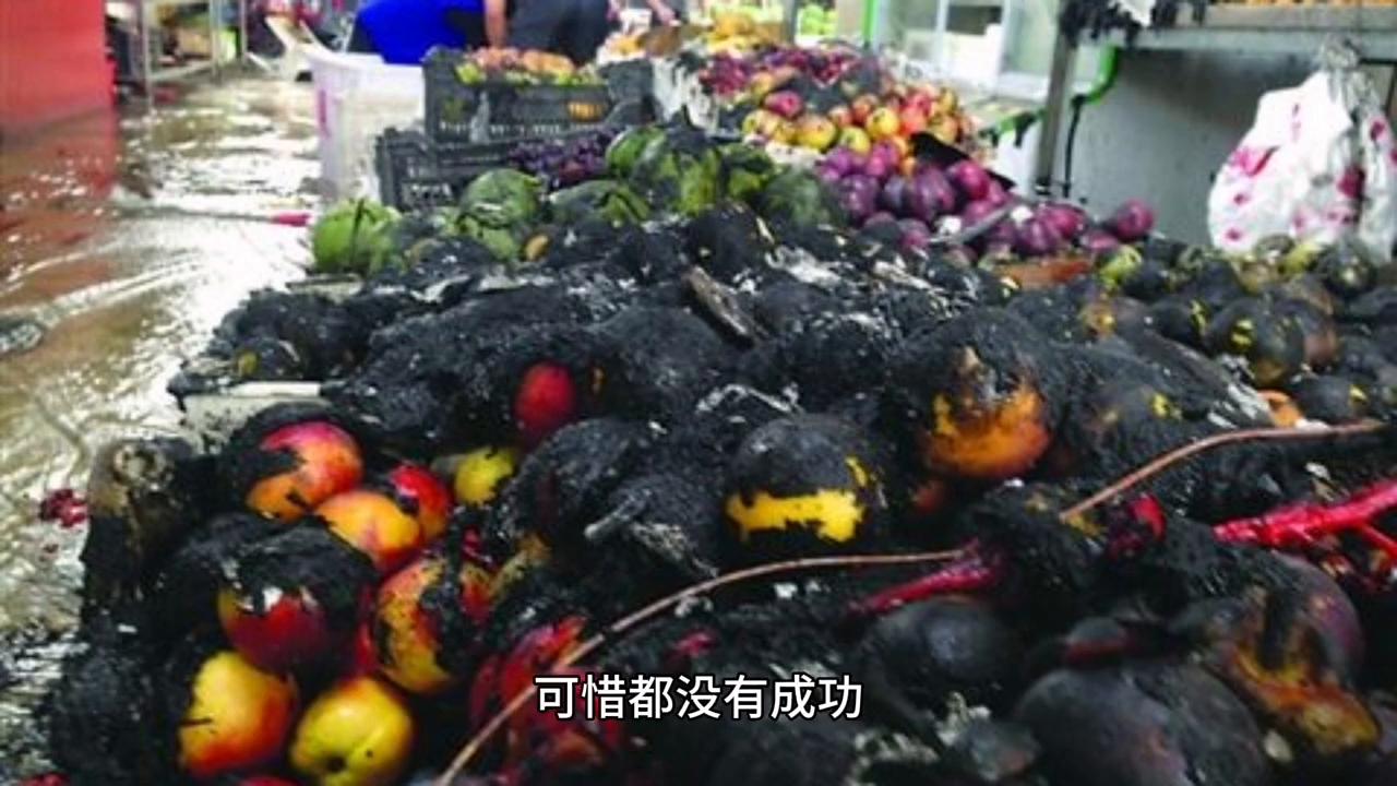 返乡创业投资6亿,武汉新洲返乡创业