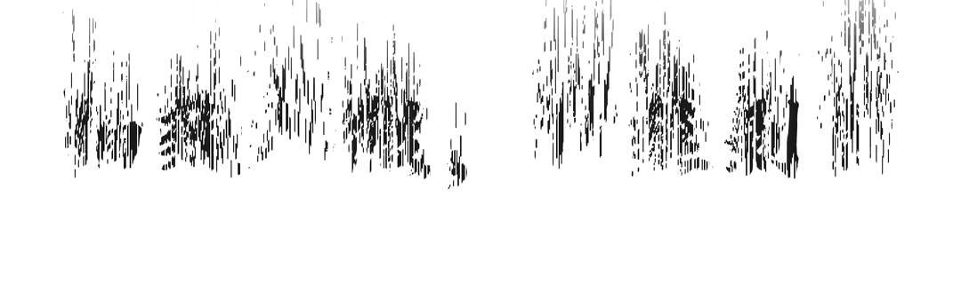 头条微头条必须每天都写吗,新手写微头条的具体步骤