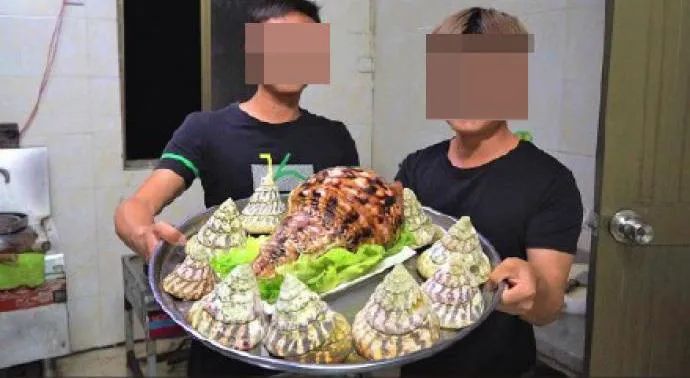 百万粉丝面前，四川女网红公然直播吃濒危鲨鱼，这也能红？