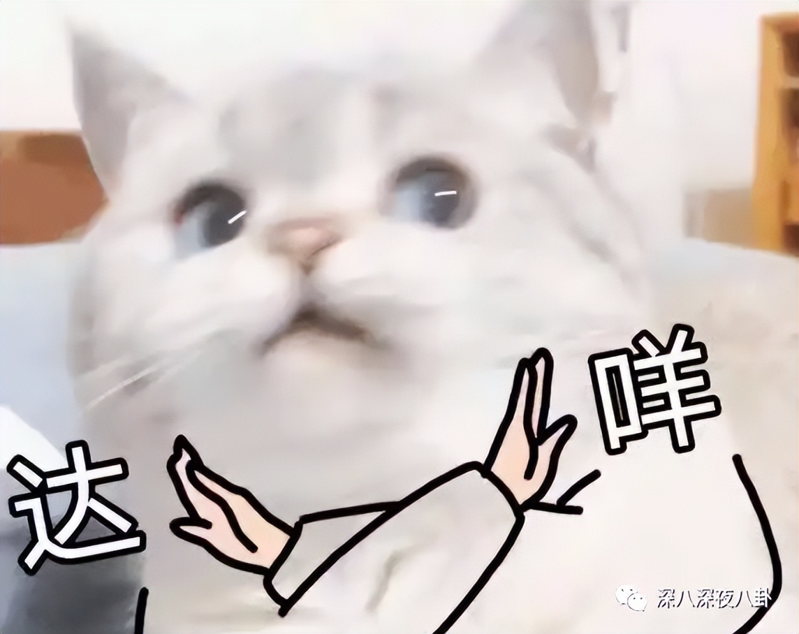 王子腾是几线演员,王子腾下一部戏