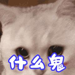 总感觉困缺铁,缺铁浑身酸痛怎么办