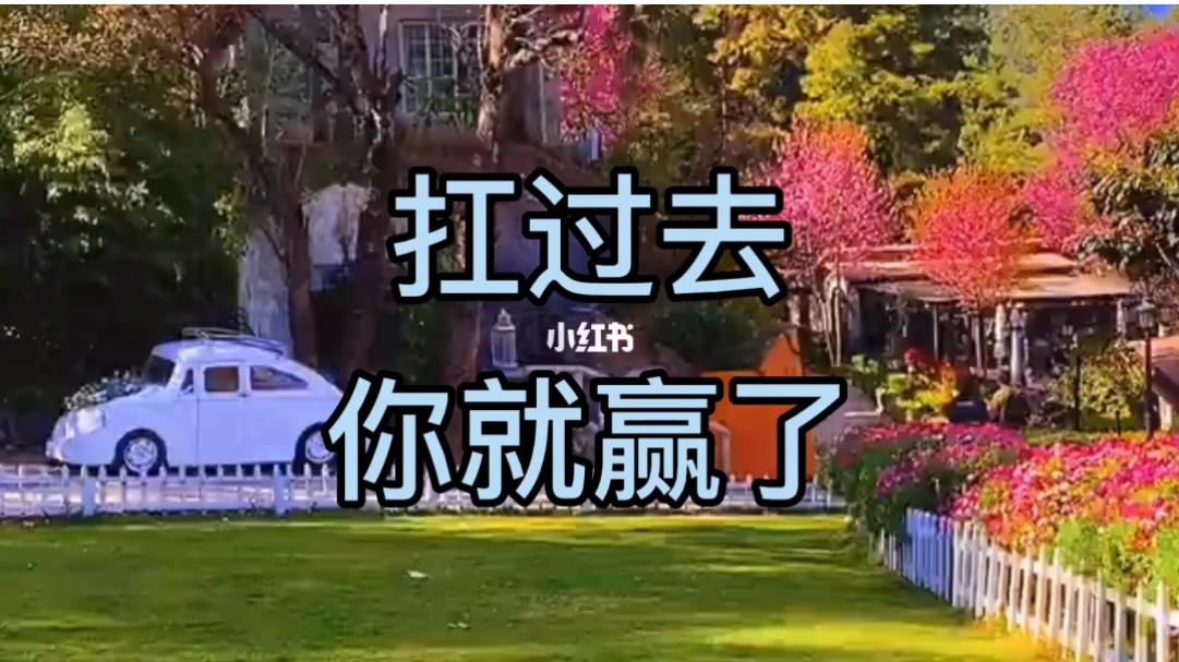 浙江、青岛等地公布的疫情数据，究竟打了谁的脸？