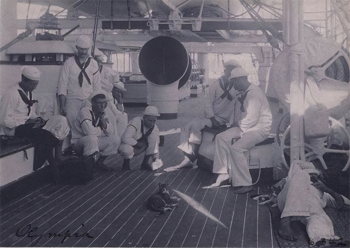 我国航母有老鼠吗,美军航母老鼠泛滥