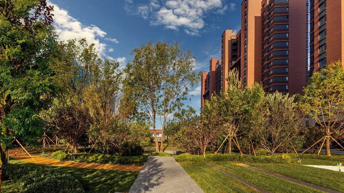 涓囩瑗垮涔嬪厜瀹氫綅,涓囩瑗垮涔嬪厜浜ゆ埧瑙嗛