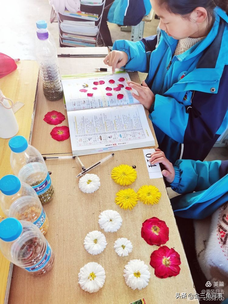 临猗庙上初中推进并践行植物标本课程