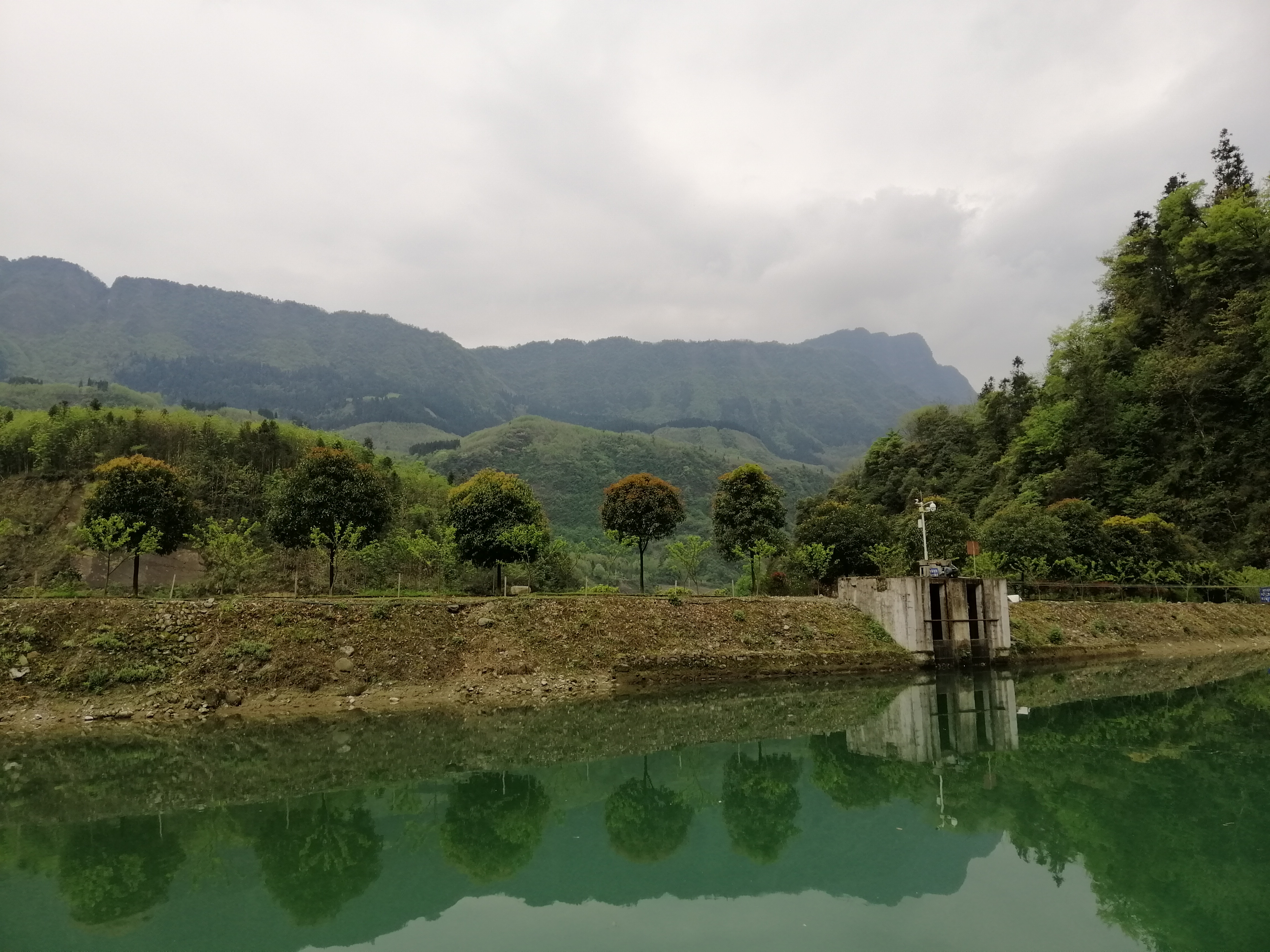 “种草”《大河恋》，解锁大虹鳟，也寻找着生命的意义