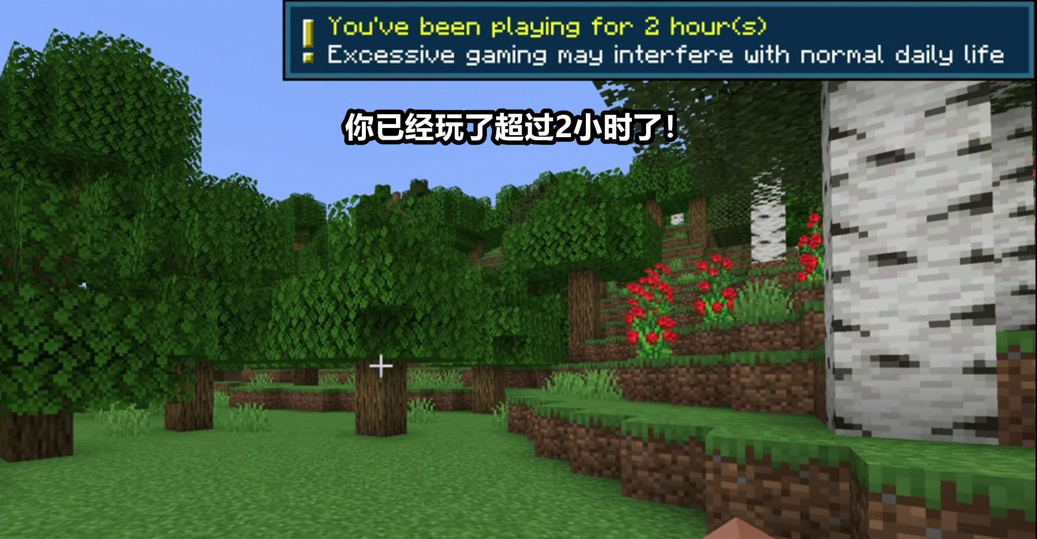 minecraft需要防沉迷吗,minecraft国际版加不了好友怎么办