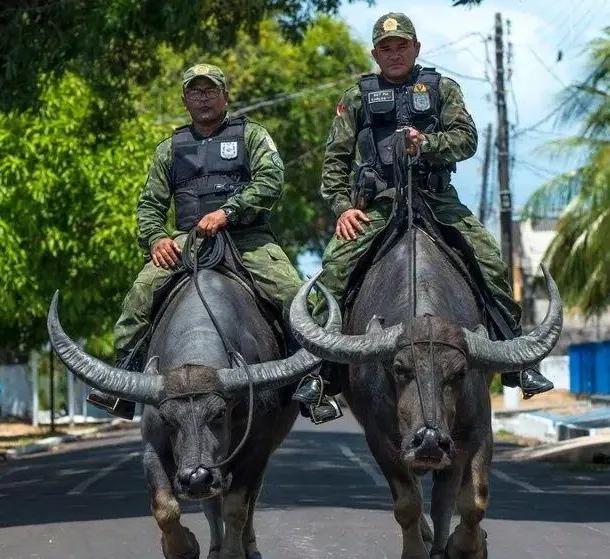 一国一品走进拉美,一国一品