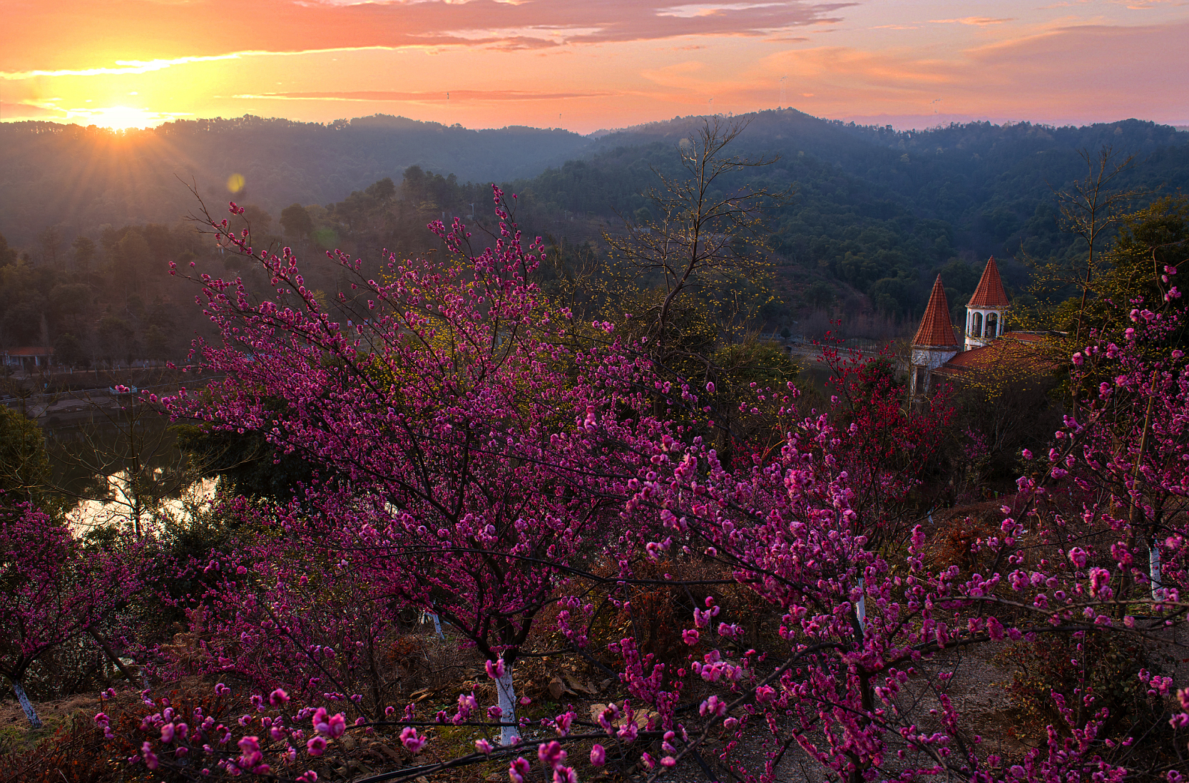 南昌赏梅好去处,南昌赏荷花的地方