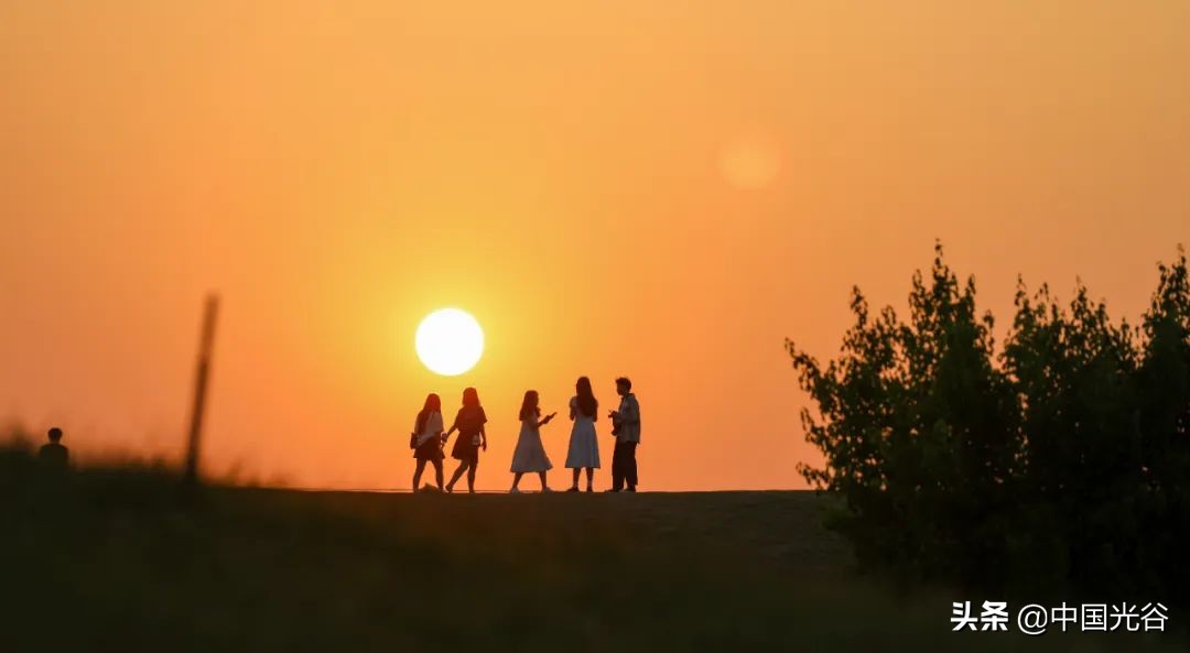 五一，光谷这些地方可以露营，还可以赏花、登山、看展……