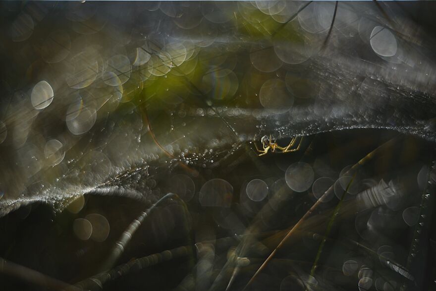 大自然的美景秋天摄影照片,美丽的大自然春夏秋冬图片大全