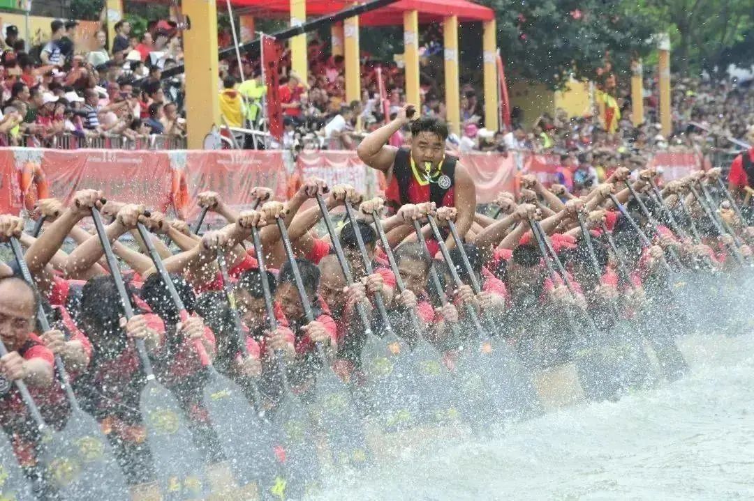广东200万龙舟比赛,广东赛龙舟火遍全国