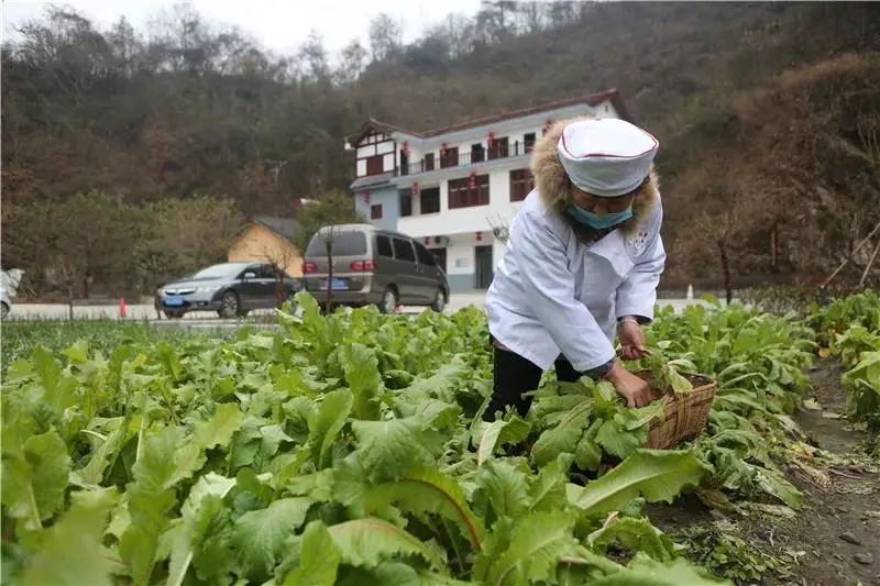 陕南旅游必备美食攻略,五一游吃什么食物