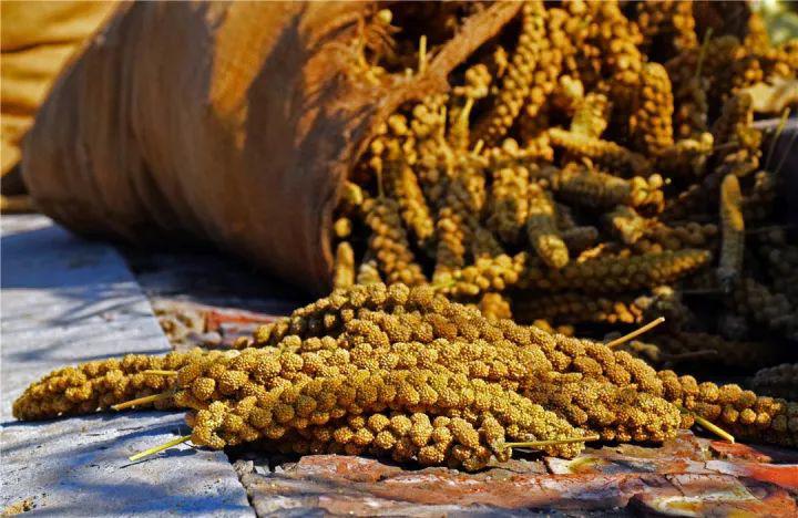 晋味美沁州黄小米怎么样,沁州黄小米哪个品牌最正宗