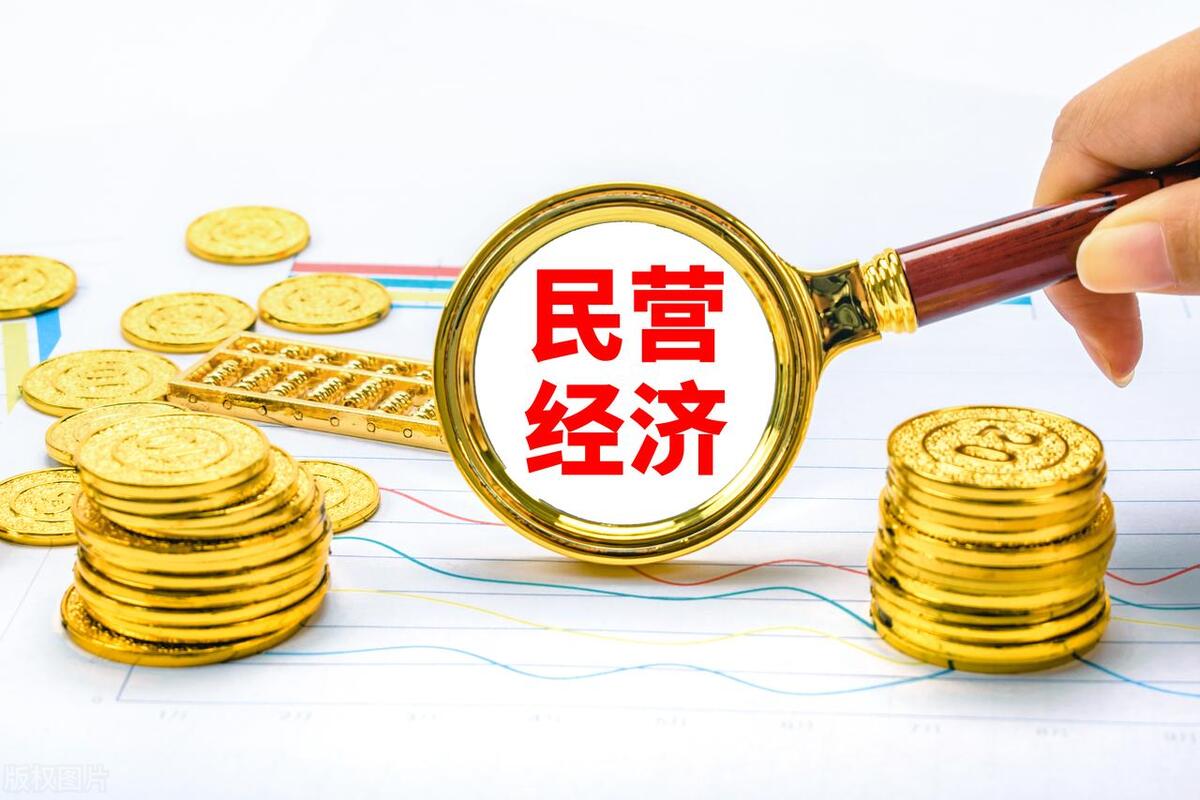 鐗瑰埆骞惰喘,瑗垮畨鑸姇闆嗗洟鏈夐檺鍏徃鐩堝埄